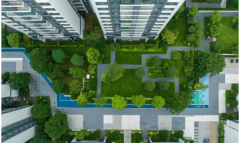 项化了建建布局设想