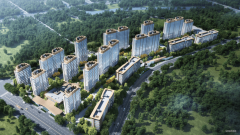 <b>大病诊疗、手术需求</b>